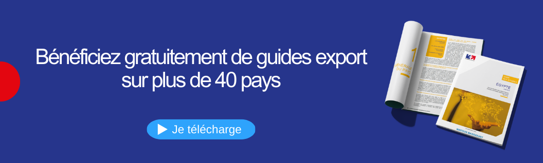 Bannière site Rendez-vous Team france Export - Guide des affaires 40 pays 