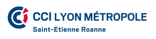 Logo Lyon SER